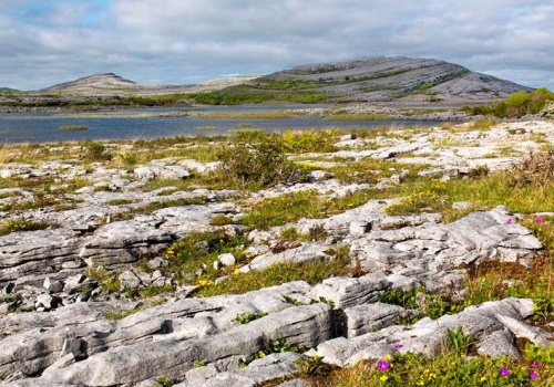 Wild Burren Cultural Tour of Clare